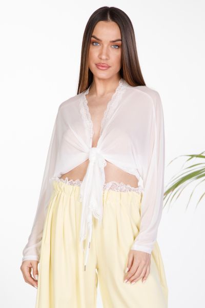 Sheer tie-front lace crop top