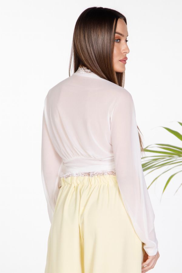 Sheer tie-front lace crop top